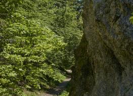 Dolina za Bramką