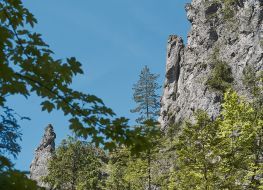 Dolina za Bramką