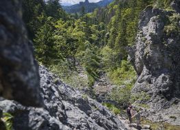 Białego Valley