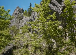 Za Bramką Valley