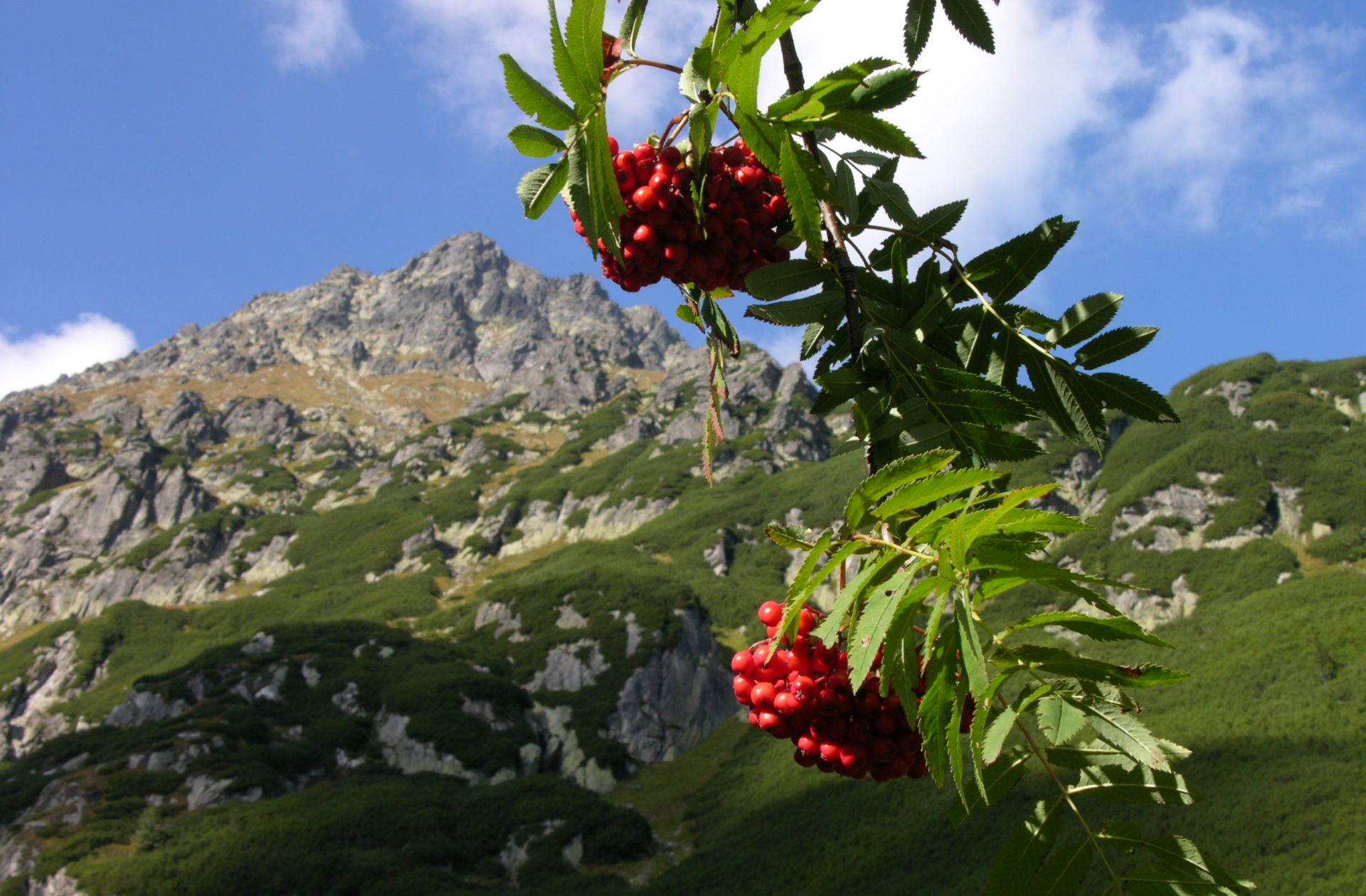 Zdjęcie promujące Zakopane