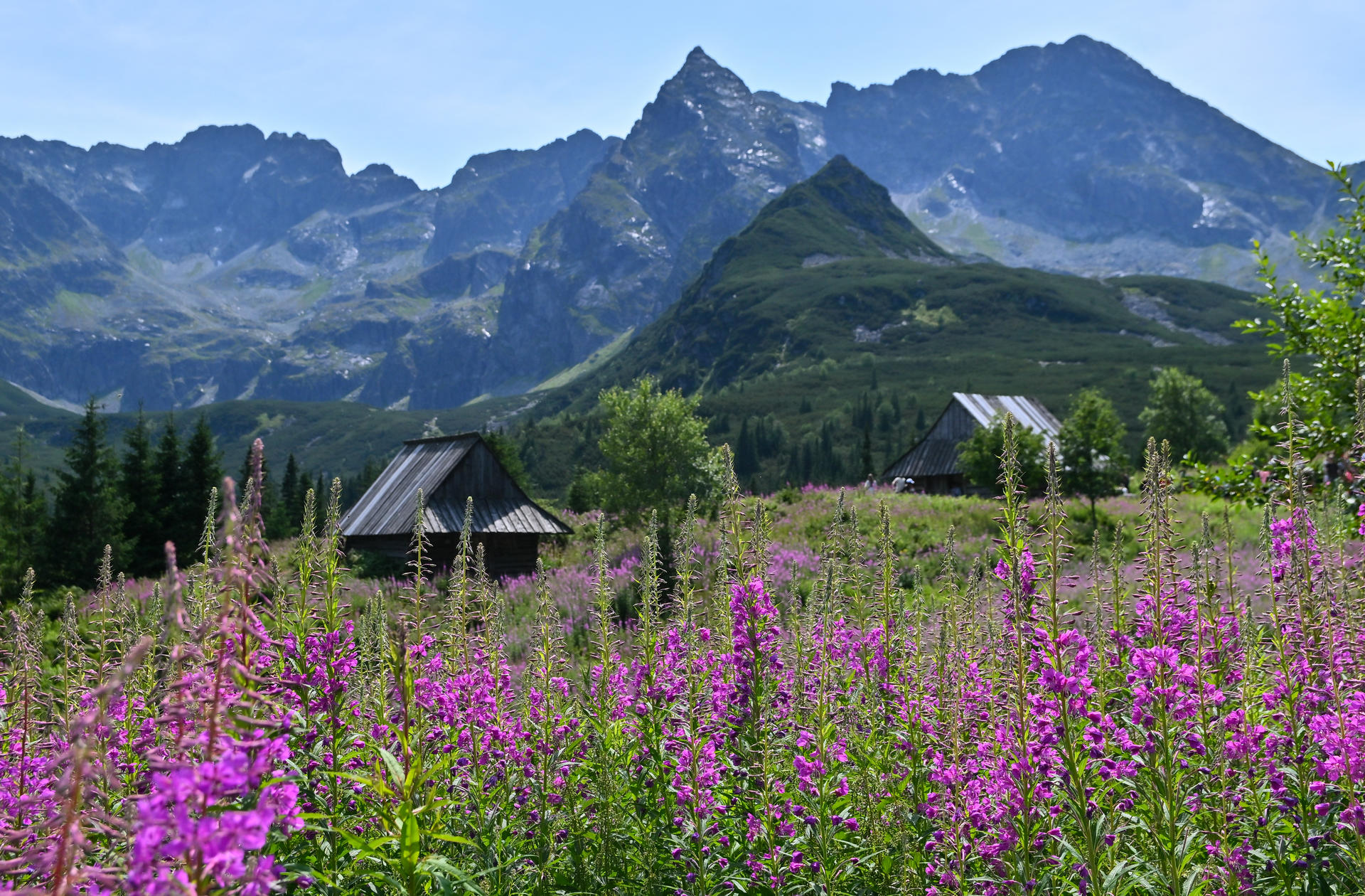 Zdjęcie promujące Zakopane