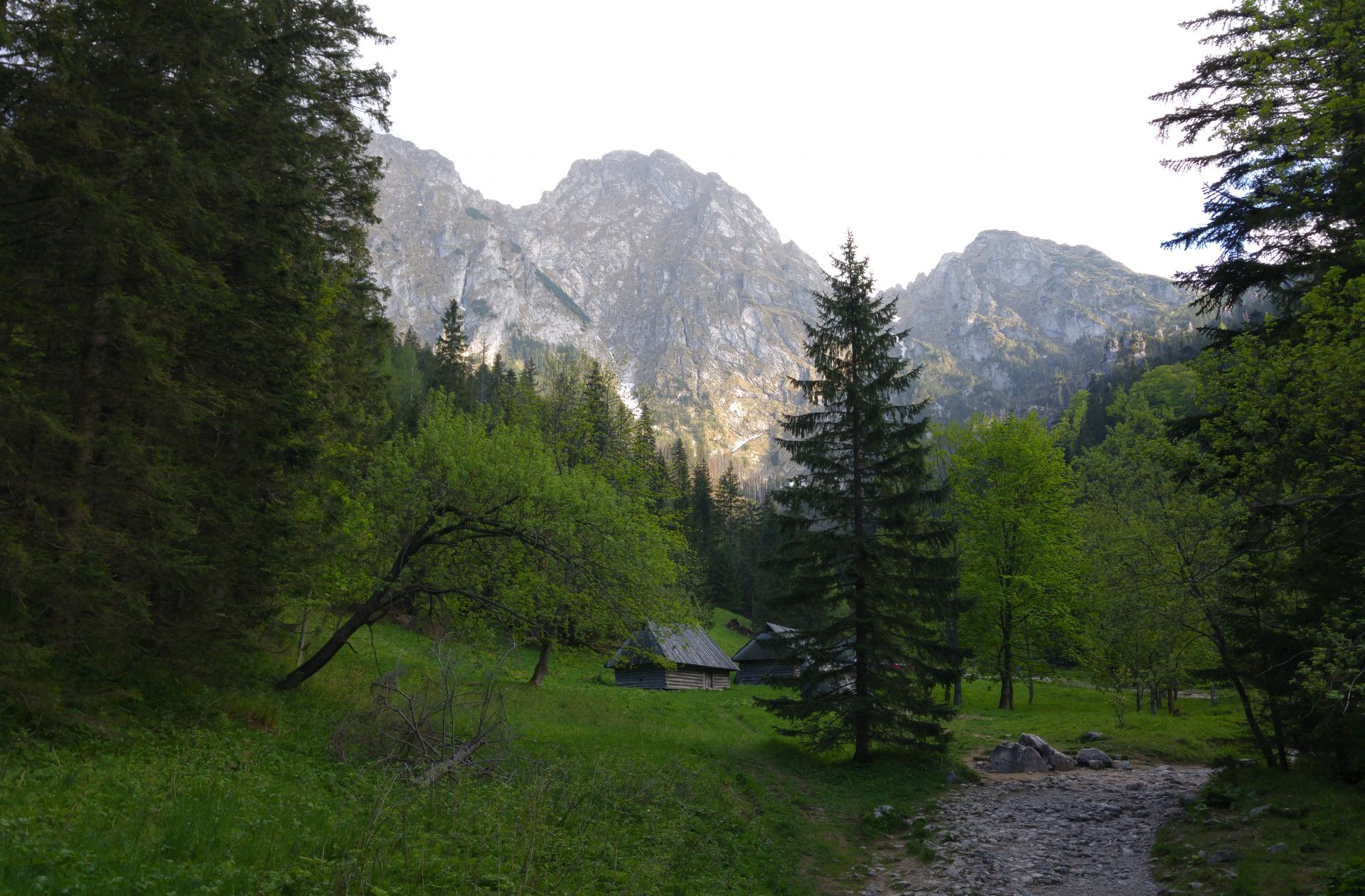 Zdjęcie promujące Zakopane