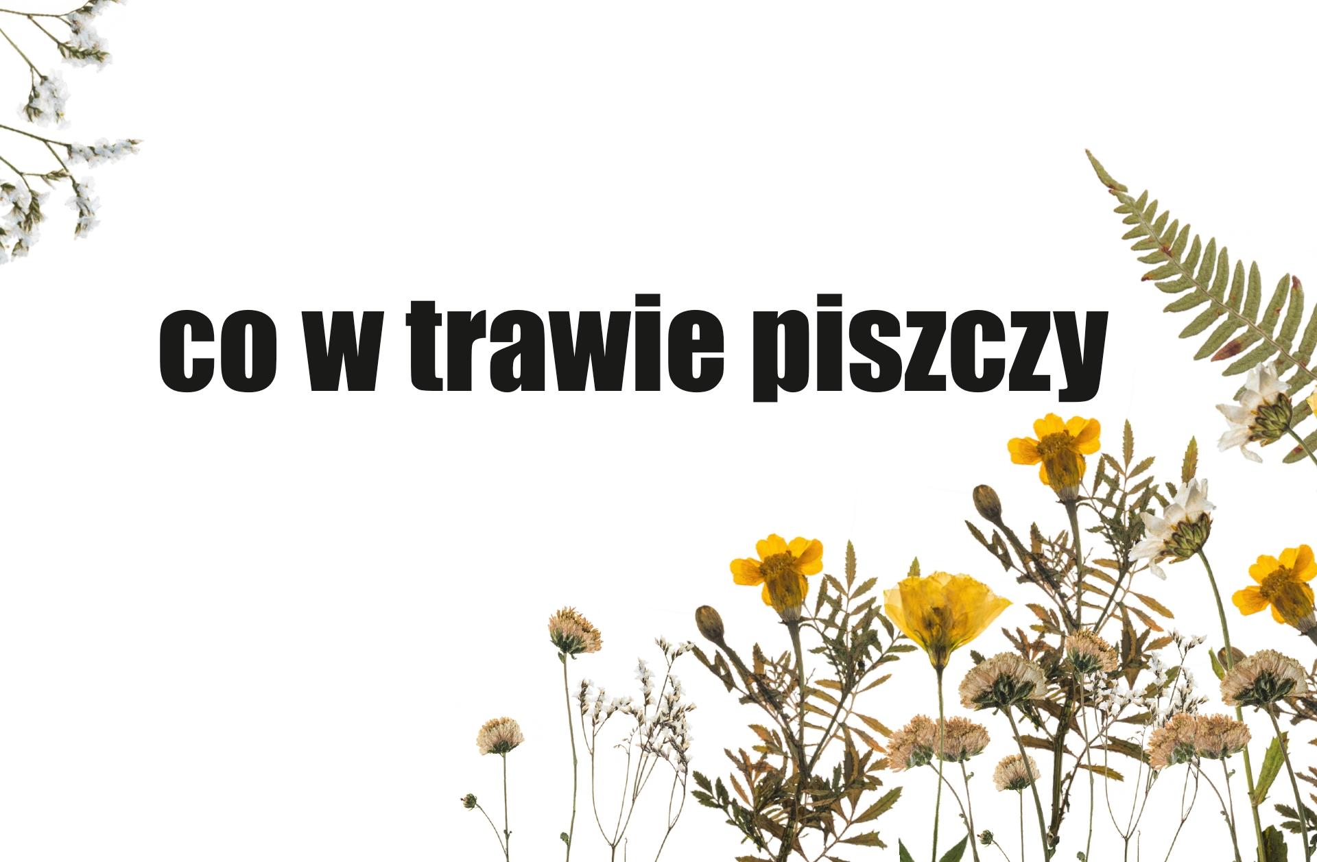 Zdjęcie promujące Zakopane