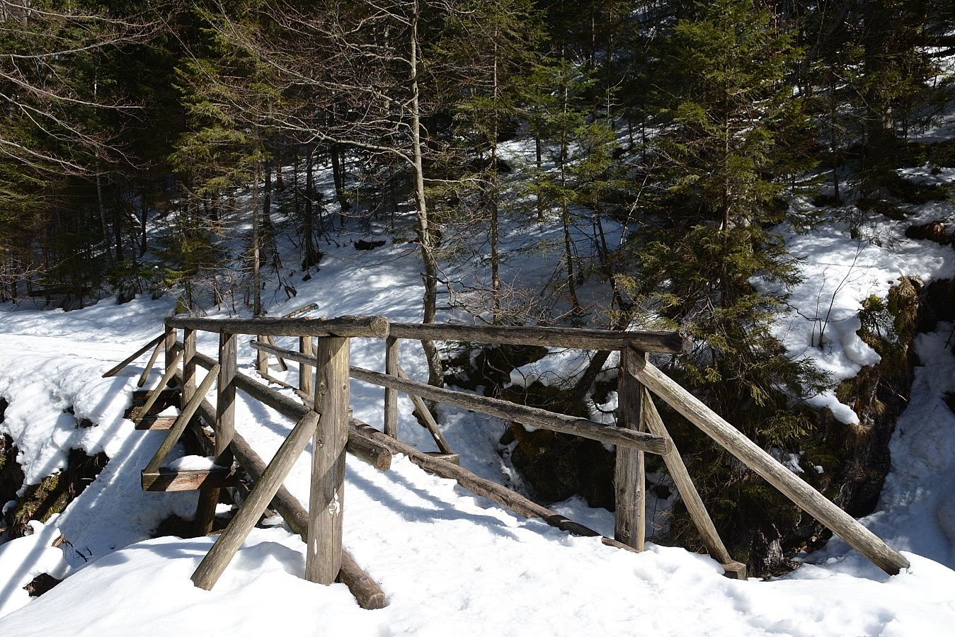 Zdjęcie promujące Zakopane