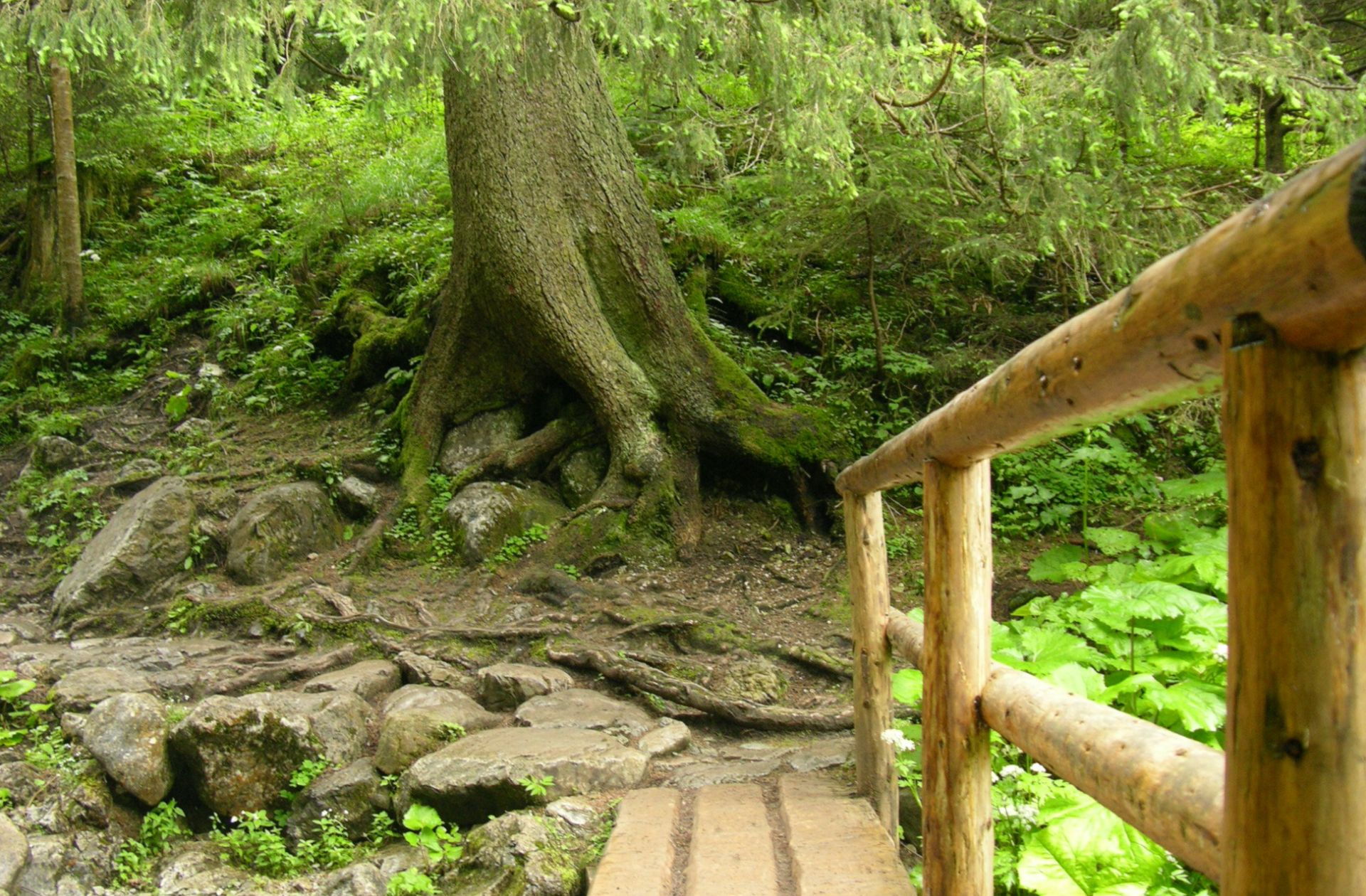 Zdjęcie promujące Zakopane