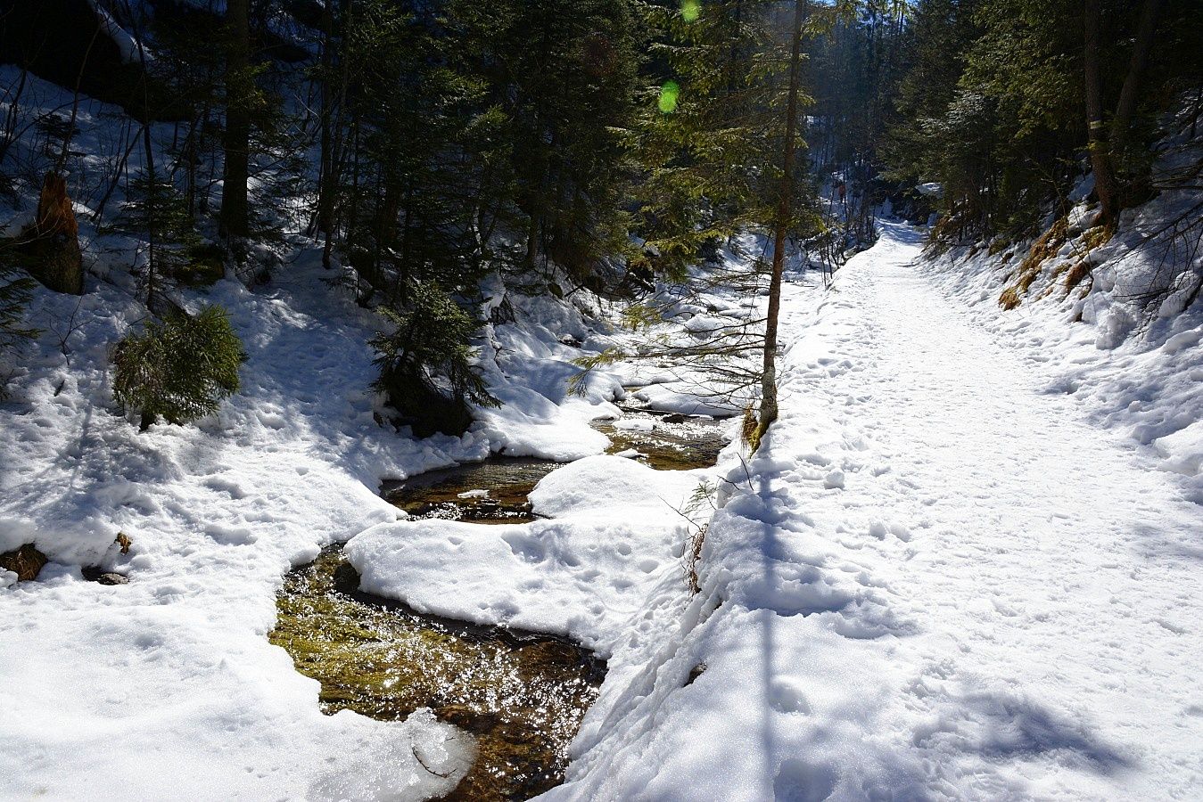 Zdjęcie promujące Zakopane