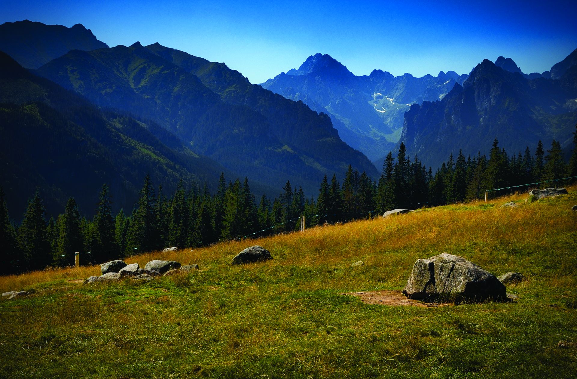 Zdjęcie promujące Zakopane