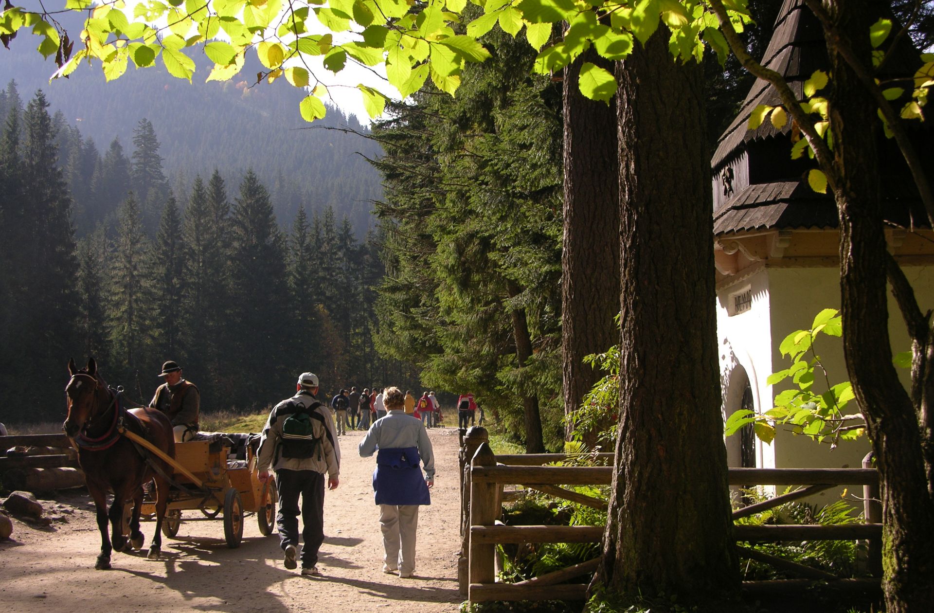 Zdjęcie promujące Zakopane