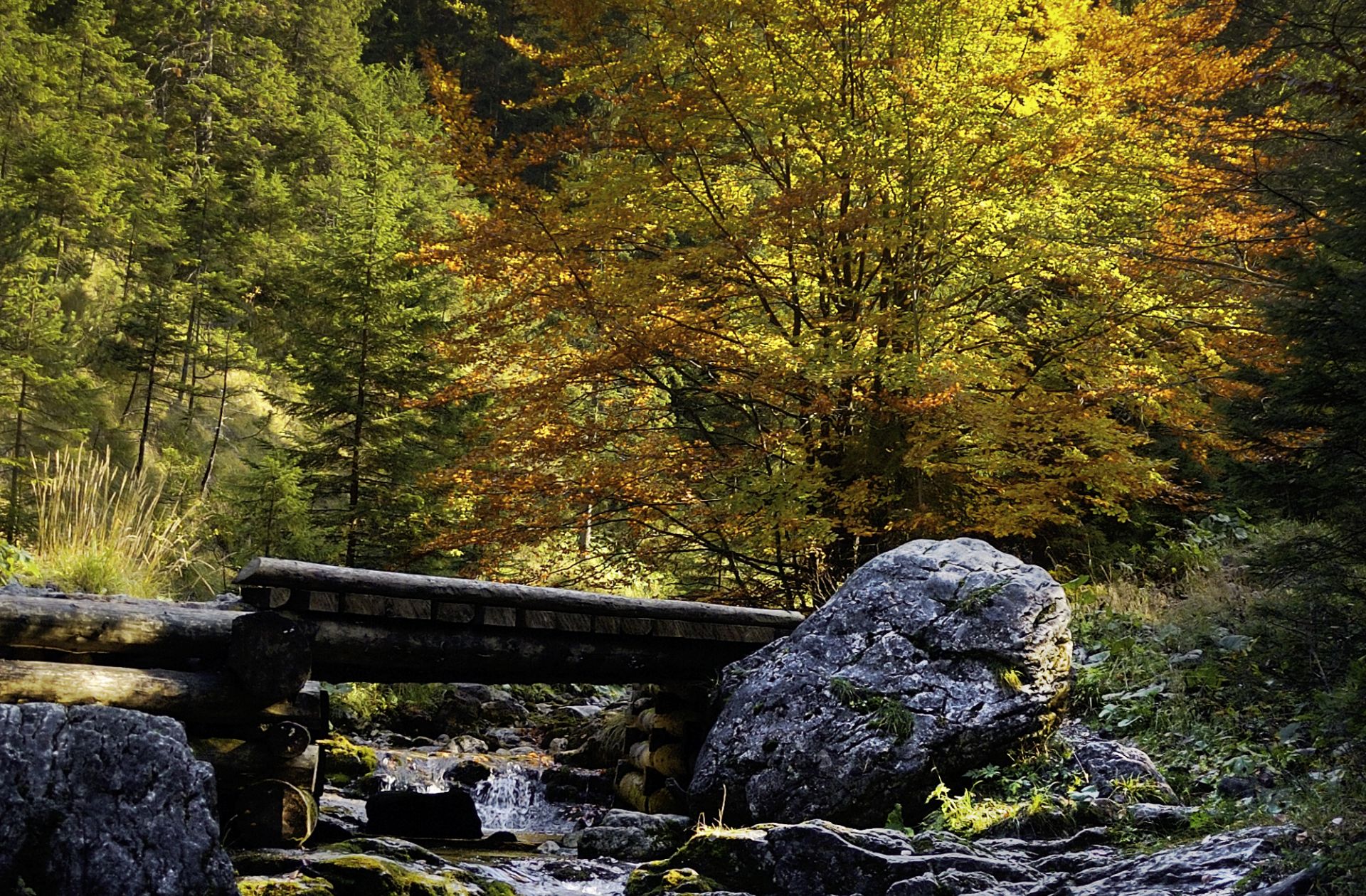 Zdjęcie promujące Zakopane