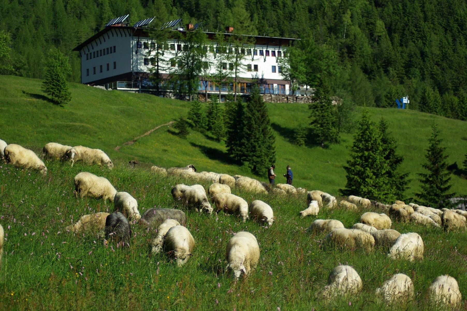 Zdjęcie promujące Zakopane