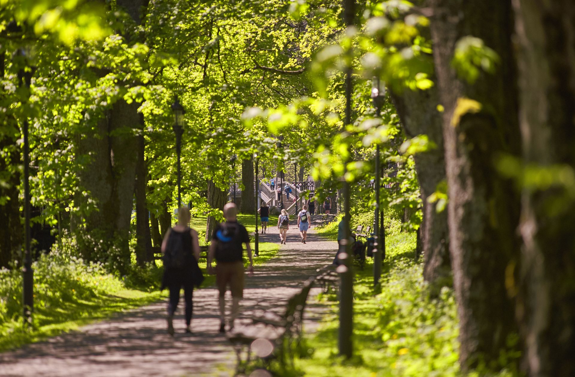 Zdjęcie promujące Zakopane