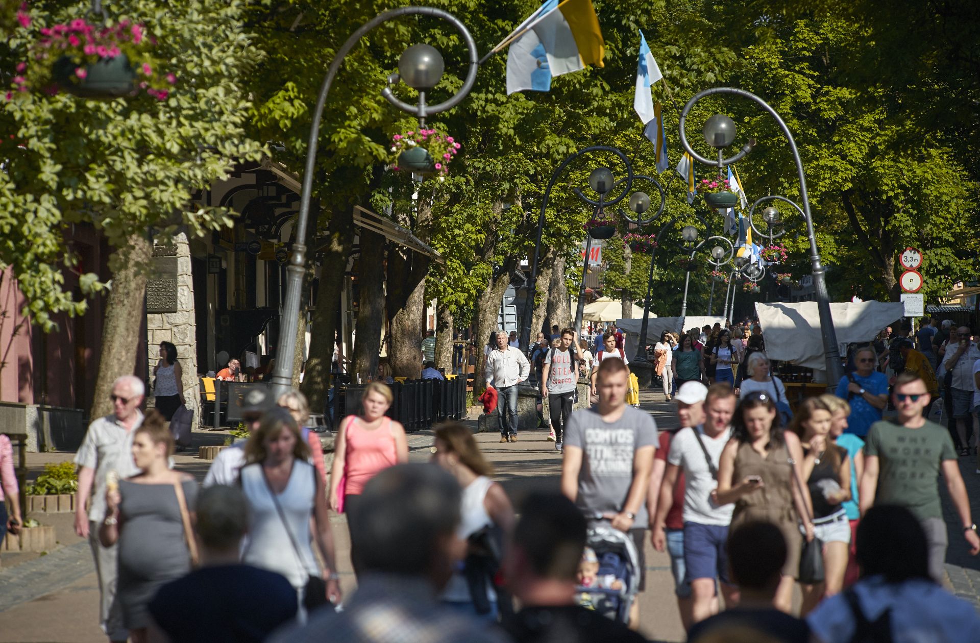 Zdjęcie promujące Zakopane