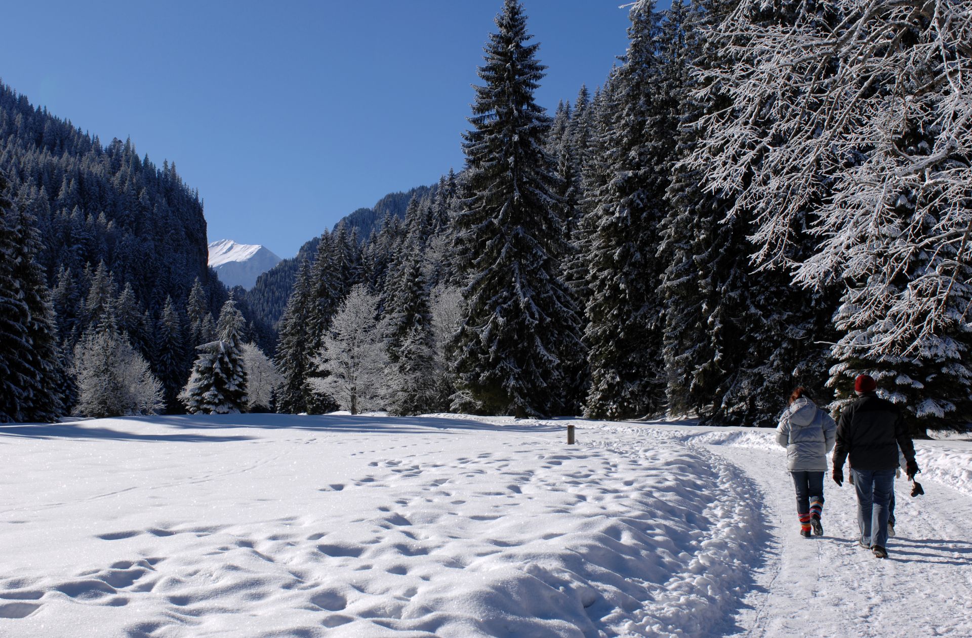 Zdjęcie promujące Zakopane