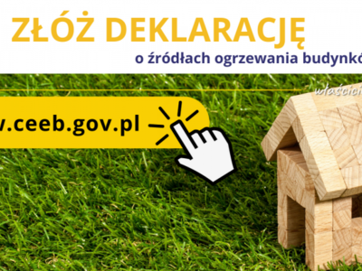 Obraz przedstawiający: Sprawdź swoją deklarację