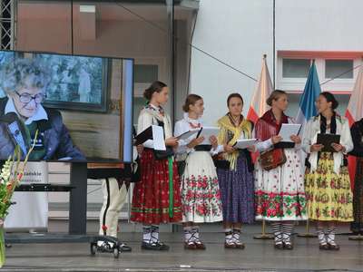 Obraz przedstawiający: Zakopane pamięta o powstańcach