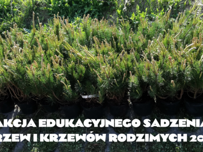 Obraz przedstawiający: Akcja edukacyjna sadzenia drzew i krzewów rodzimych