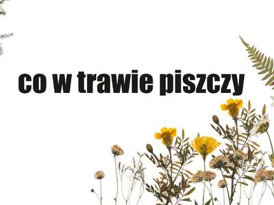 Obraz przedstawiający: co w trawie piszczy