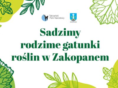 Obraz przedstawiający: Sadzimy rodzime gatunki roślin
