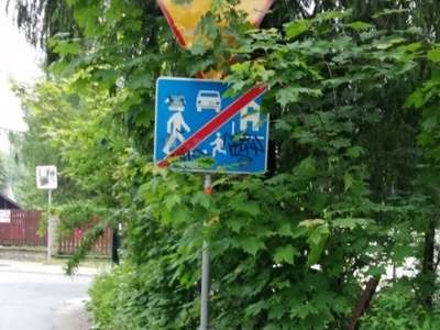 Obraz przedstawiający: Przypominamy o obowiązku przycinania gałęzi drzew i krzewów w ramach...