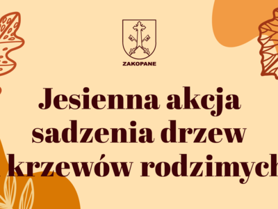 Obraz przedstawiający: Jesienna akcja sadzenia drzew i krzewów rodzimych w Zakopanem