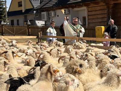 Obraz przedstawiający: Redyk w Zakopanem - święto kultury pasterskiej