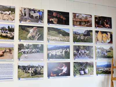 Obraz przedstawiający: Rezolucja i wystawa na rozpoczęcie obchodów "Roku Pasterstwa"