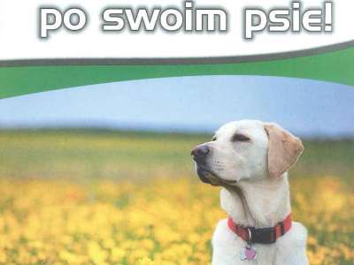 Obraz przedstawiający: Przypominamy, sprzątaj po swoim psie!