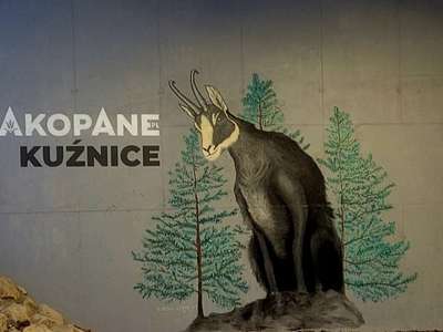 Obraz przedstawiający: Mural kozicy w Kuźnicach