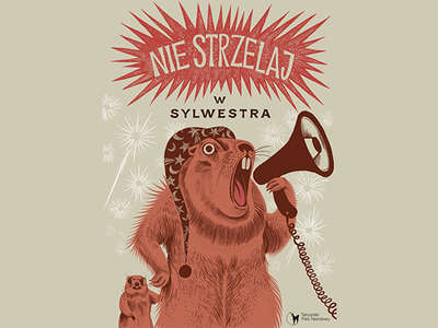 Obraz przedstawiający: Nie strzelaj w sylwestra!
