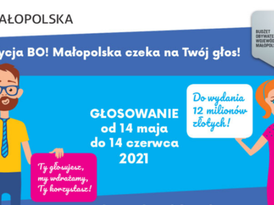 Obraz przedstawiający: Ponad 230 projektów czeka na głosy Małopolan!