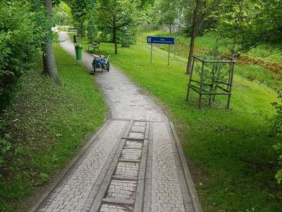 Obraz przedstawiający: Prace porządkowe i ogrodnicze na terenie miasta Zakopane