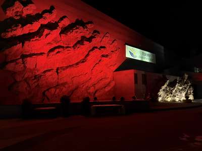 Obraz przedstawiający: POLSKIE TATRY S.A. w Kampanii „Dzieciństwo bez Przemocy”