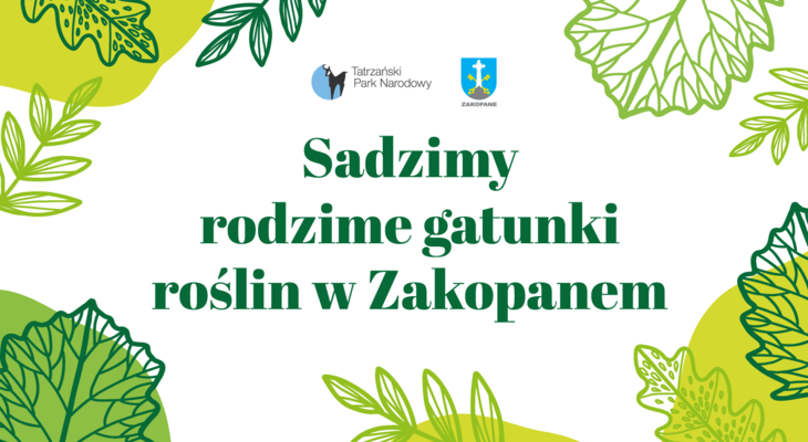 Obraz przedstawiający: Sadzimy rodzime gatunki roślin