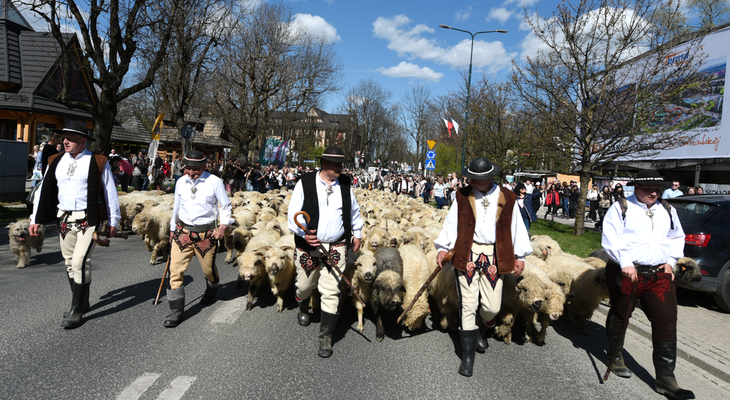 Obraz przedstawiający: Redyk w Zakopanem za nami!