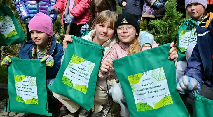 Obraz przedstawiający: Sadzimy rodzime gatunki roślin w Zakopanem
