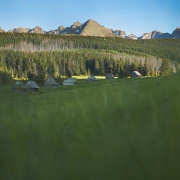 Obraz przedstawiający: Olczyska – Kopieniec Valley