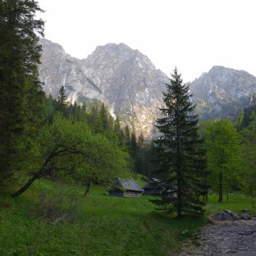 Obraz przedstawiający: Strążyska
Valley