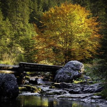 Obraz przedstawiający: Weißes Tal - Sarnia-Fels – Strążyska-Tal