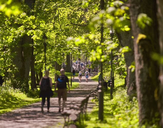 Along the Przewodników Tatrzańskich avenue to Kuźnice