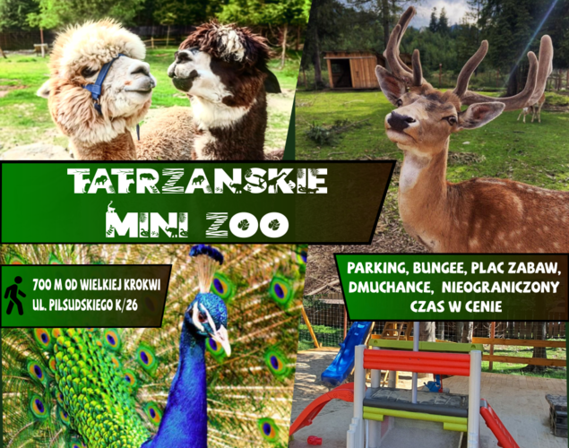 Mini Zoo