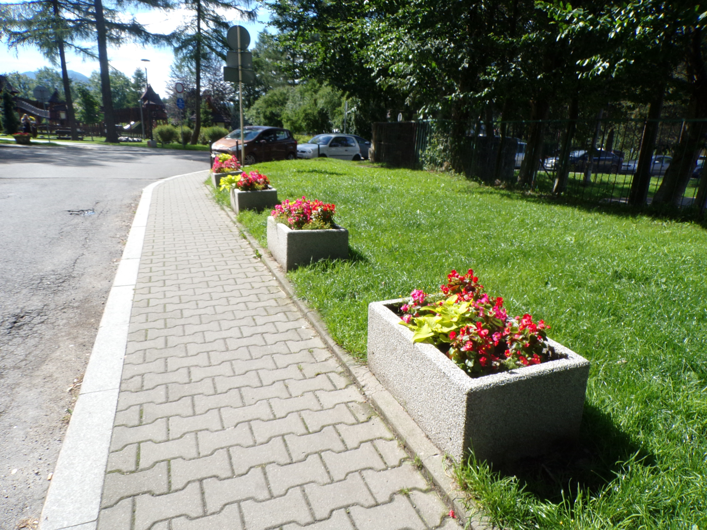 Zdjęcie 7 Chodnik i doniczki z zasadzonymi kwiatami stojące na trawniku 
